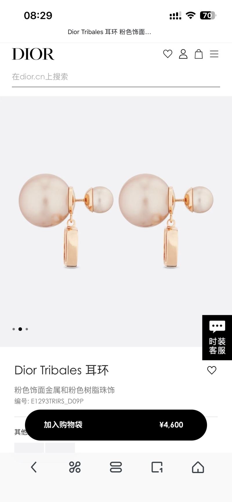 chr1st1an D10r earrings